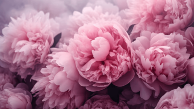 Wallpaper:4xen2c9dx_M= Pink Flowers