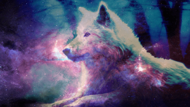 Wallpaper:8xsof43zhre= Galaxy Wolf