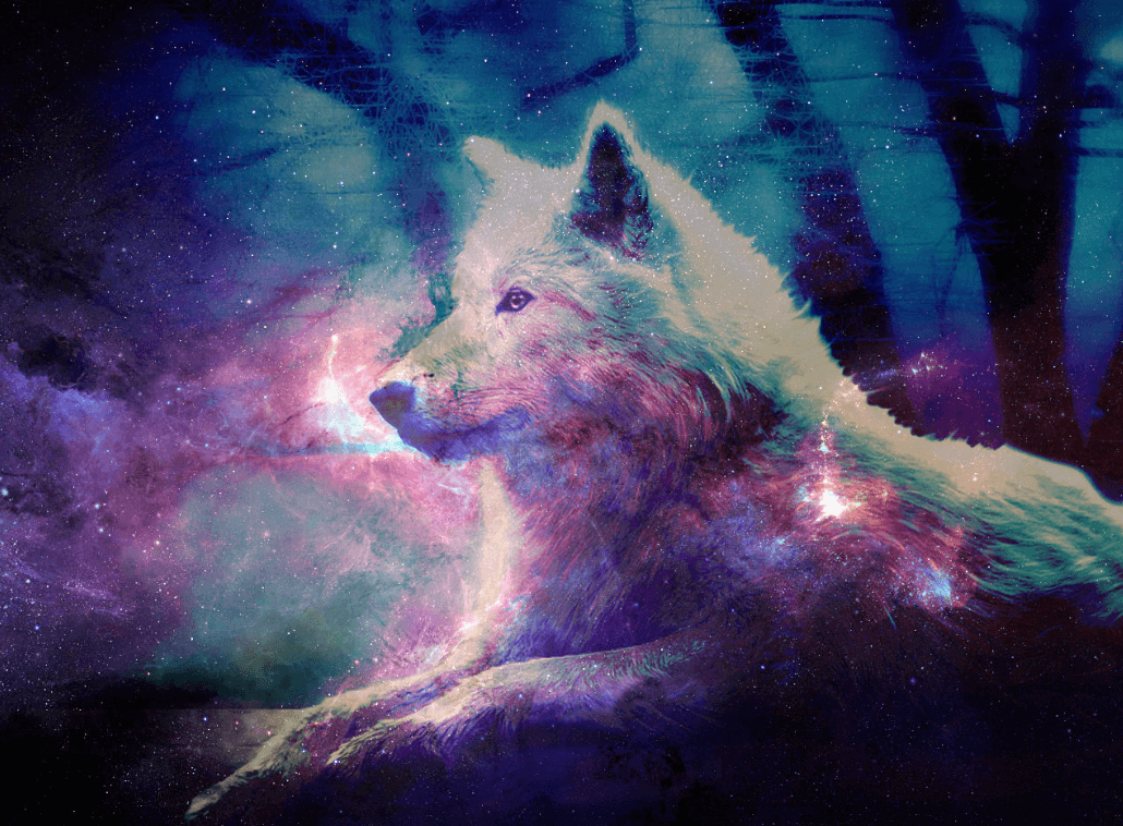 Wallpaper:8xsof43zhre= Galaxy Wolf