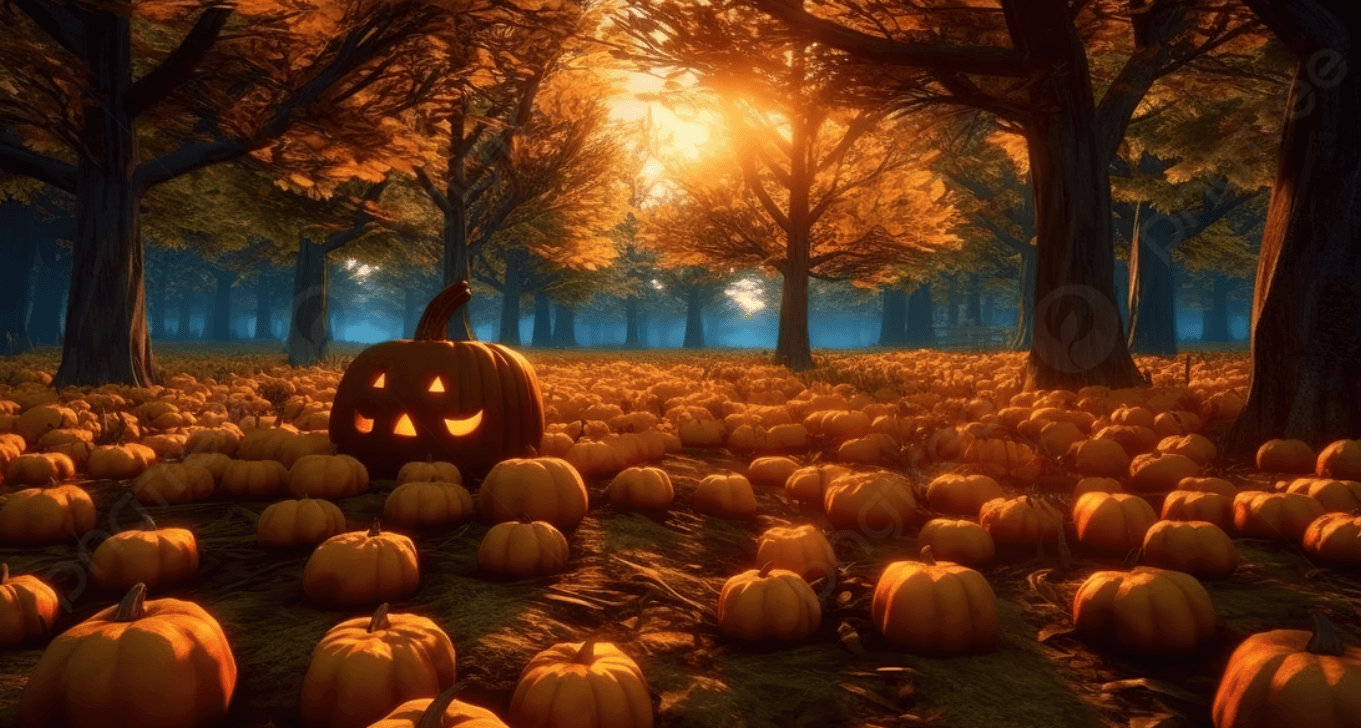 Wallpaper:_9bfaj71qbk= Pumpkin Patch