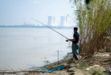 industry growth analysis summary