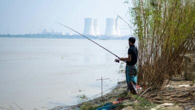 industry growth analysis summary