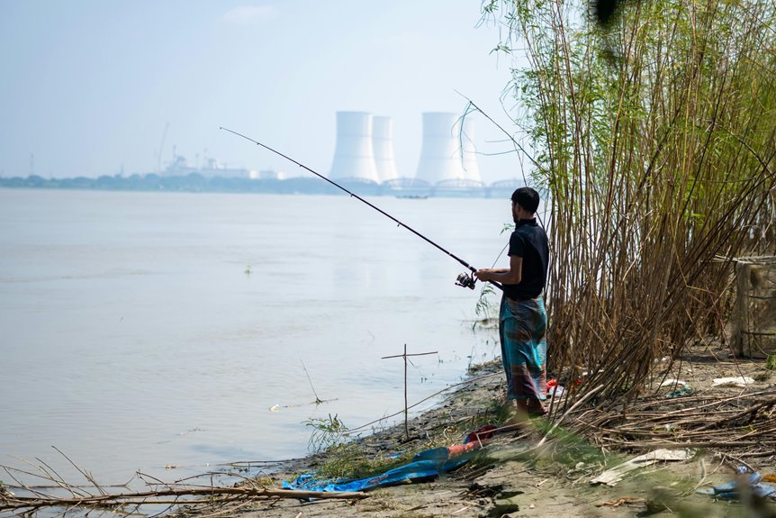 industry growth analysis summary